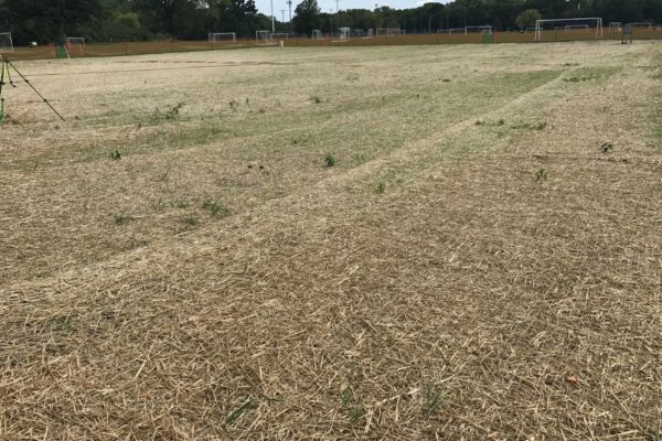 A sports field undergoing the seeding process with PRO-TURF Services.