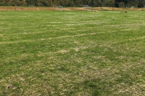 A sports field undergoing the seeding process through PRO-TURF Services.