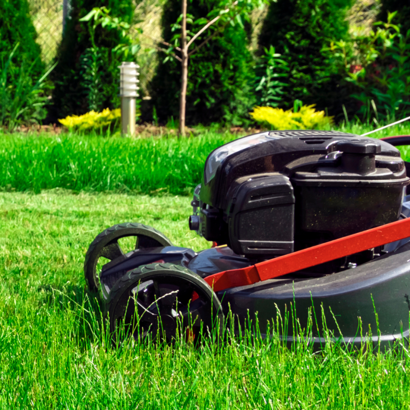 lawn mower mowing grass in a green and healthy lawn