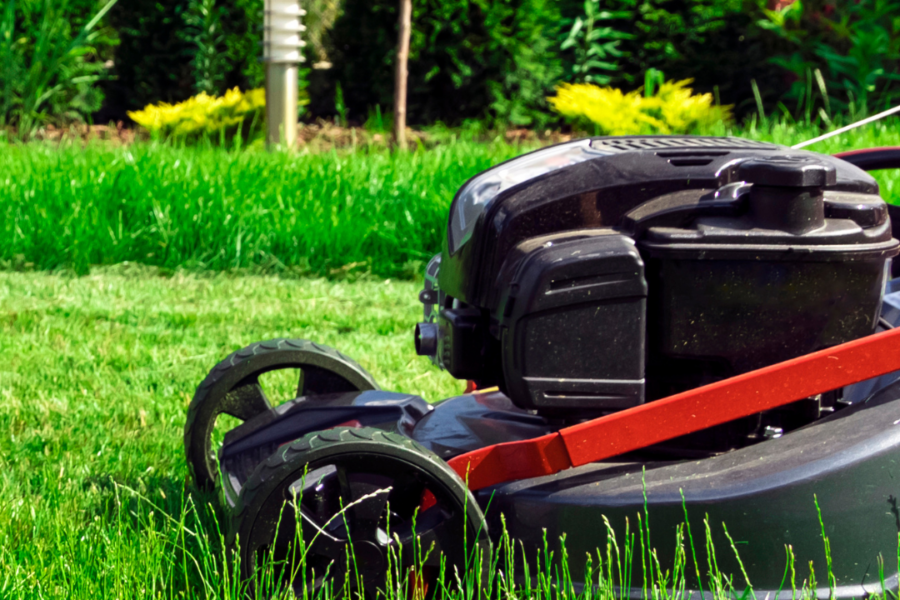 lawn mower mowing grass in a green and healthy lawn