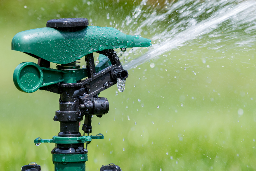 water sprinkler in a healthy green lawn